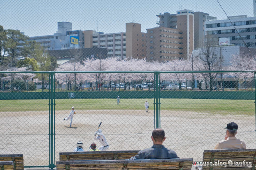 野球を見守る大人たち。平和な光景。