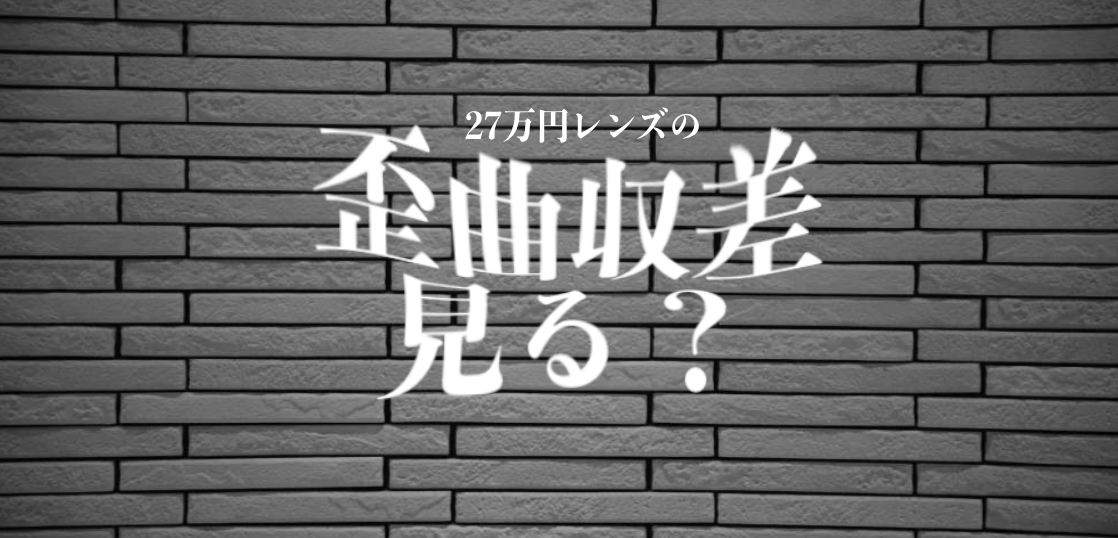 NIKKOR Z 24-70mm f/2.8 Sの歪曲収差を丸裸にするぜ！