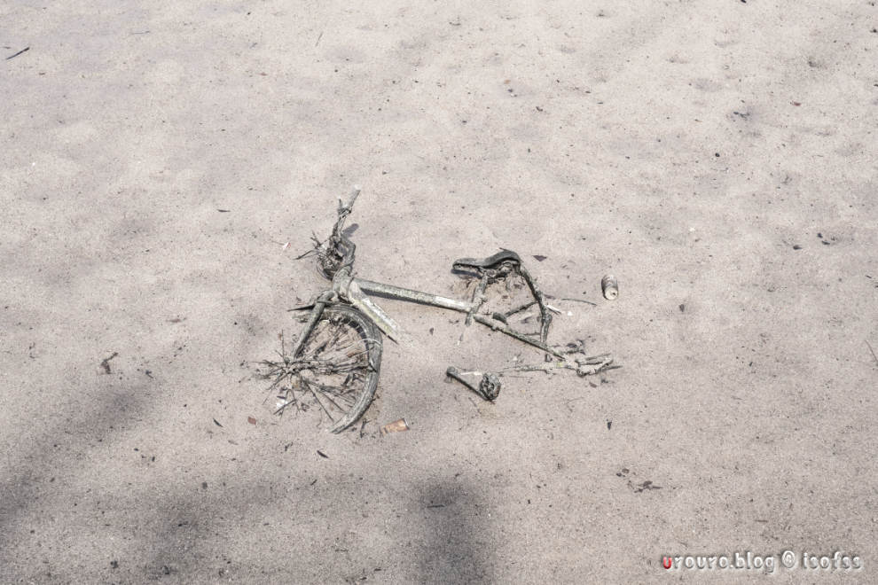 水辺に沈む自転車。ETERNA ブリーチバイパスで表現。