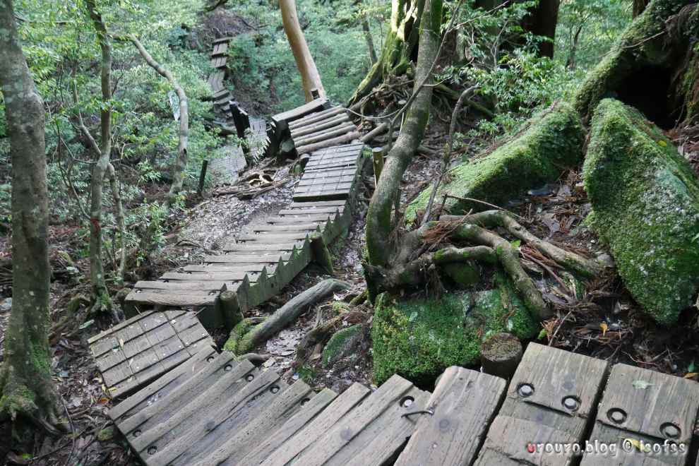 この階段、一体何段あるのか？ただし降るだけでよい。