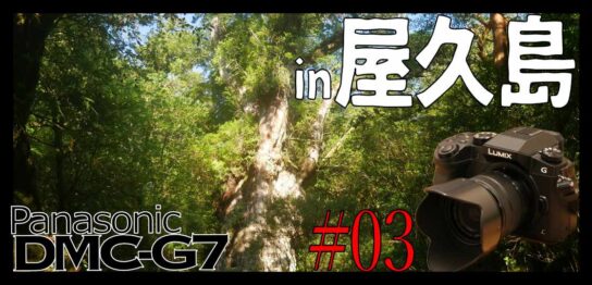 屋久島で縄文杉を撮影したい一心でDMC-G7を購入した話。