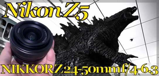 Nikon Z5にNIKKOR Z 24-50mm f/4-6.3をつけてスナップしてみた。