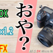 AF-S DX Micro NIKKOR 40mm f/2.8GとD850の組み合わせでケラれなく撮れるか？