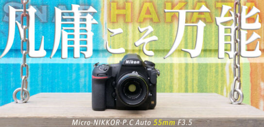 Micro-NIKKOR-P.C Auto 55mm f3.5で博多うろうろスナップ。