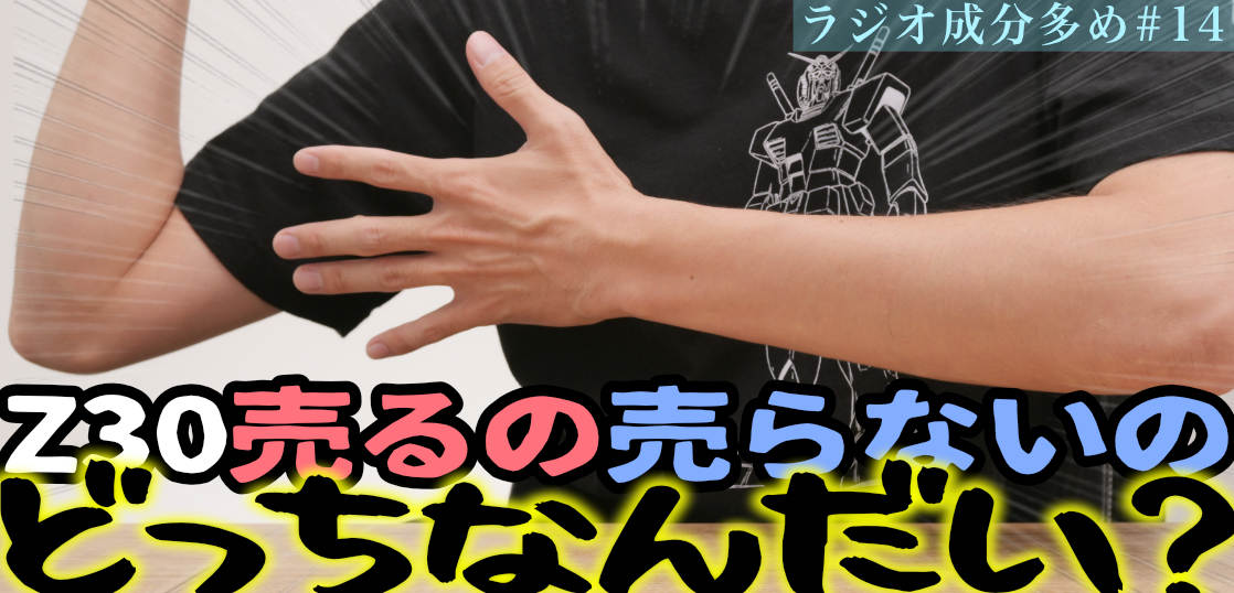 Z30を下取りに出せなかった理由。