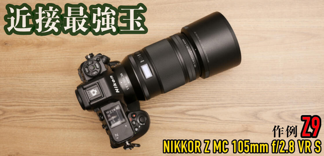 近接最強レンズ・NIKKOR Z MC 105mm f/2.8 VR S写真作例記事。