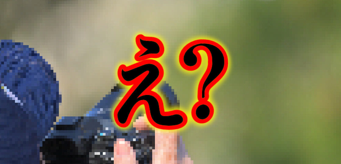 初めて野鳥撮影でマナーを守らないカメラマンに遭遇した話。