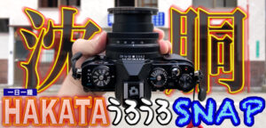 変なこだわり捨てたら神レンズだった。一日一撮・博多うろうろSNAP2023年6月