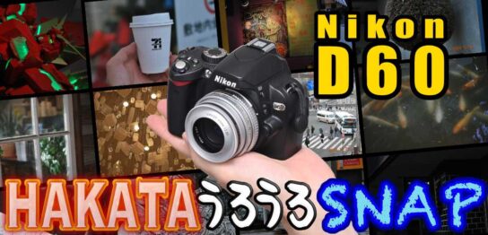 Nikon D60とAi NIKKOR 45mm F2.8Pを使ったスナップ記事