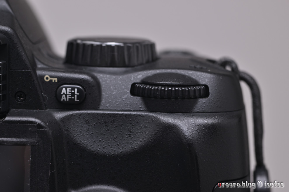 Nikon D60は親指AFが実質使えないことが判明。体を合わせていくほかない。