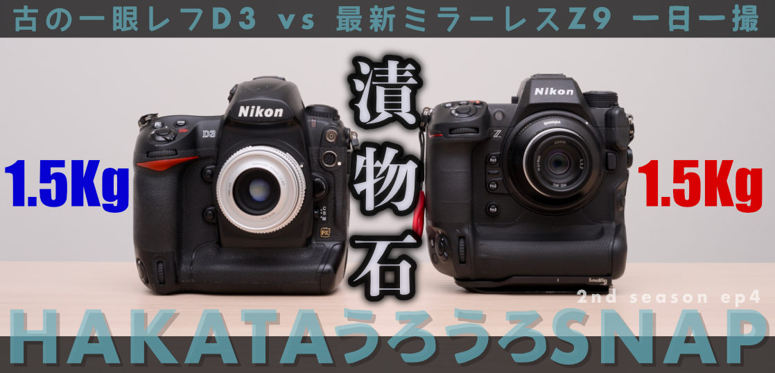 古のNikon D3 と最新 Z9 を1ヶ月持ち歩いてみた一日一撮・博多うろうろ 