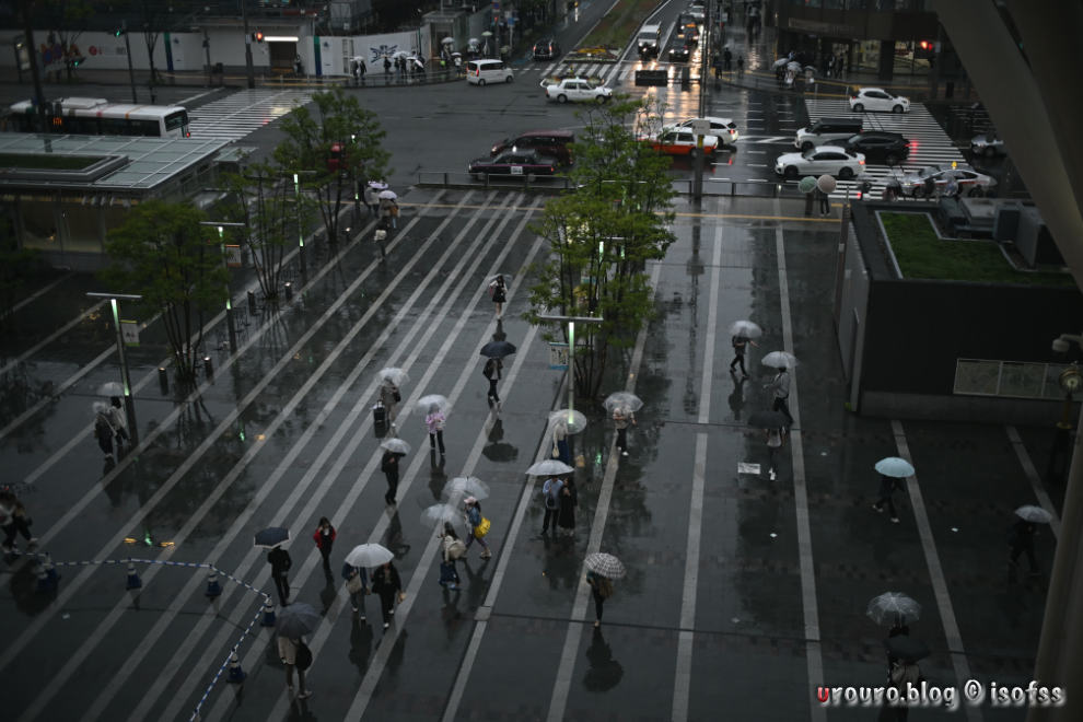 雨の博多駅。傘を刺す人々が仕事に向かっている風景。