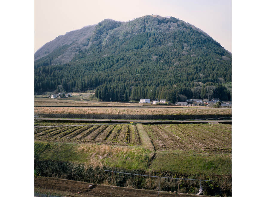 ブローニーフィルムのデジタイズ作例4。田舎の田んぼと雄大な山。スクエアフォーマットはこういう写真が似合う。