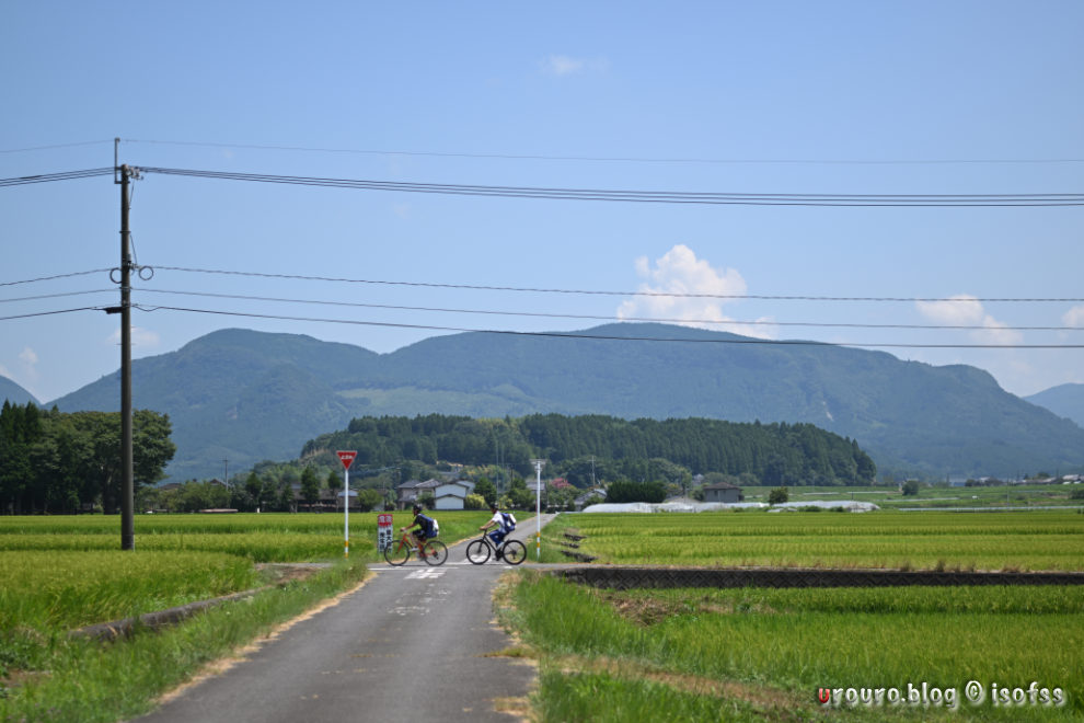 Z9とPlanar C80mm F2.8で田園風景を撮影。自転車に乗っている子供が写っている。