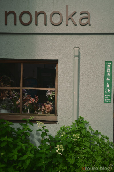 オシャレなお店の窓を早朝スナップ。Viltrox AF 28mm F4.5 Chip ZとZ50II、フレキシブルカラーのNeighborhoodで撮影。