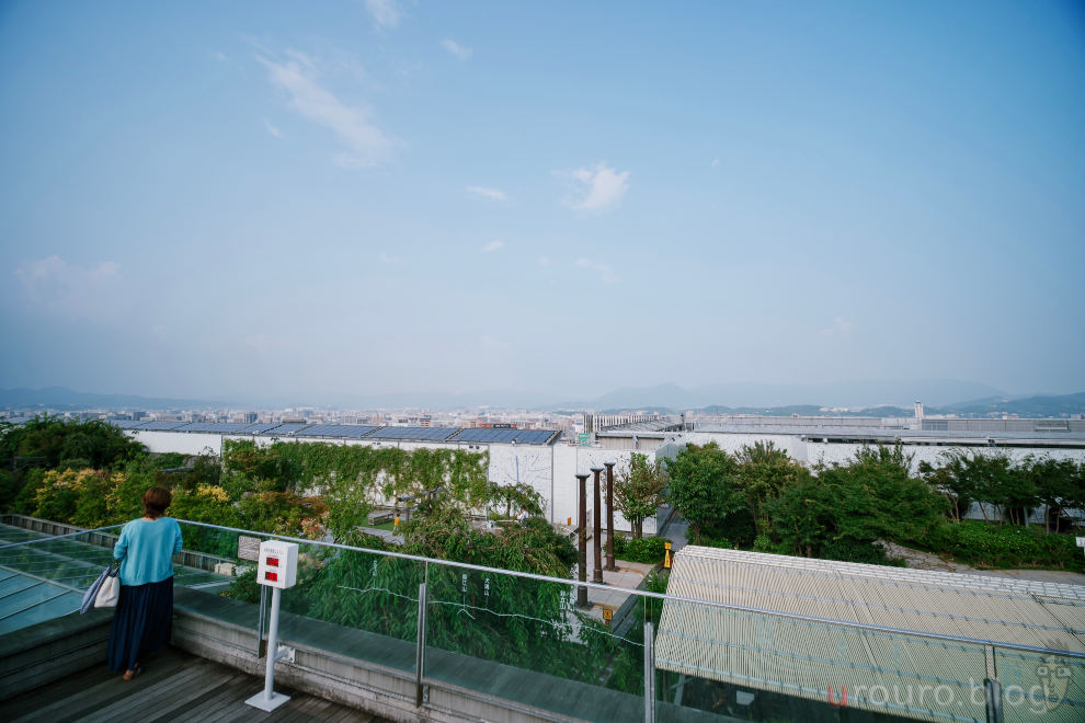 7Artiasns 10mm F3.5をZfに装着して街スナップ。遠くに広がる街並みと水平線。