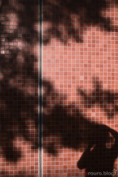 SG-image AF 25mm F1.8とDehancerの相性は良かった。壁に写っている自分の影を撮影。