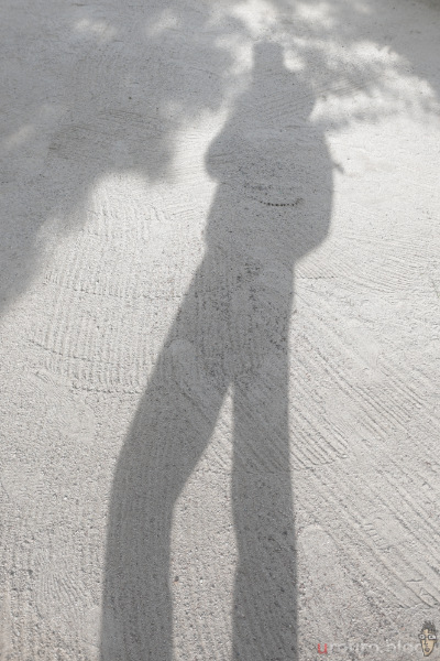 Nikon ZRのCine_bias REDを使ったJPEG撮って出しをSG-image AF 25mm F1.8で試してみた。かなりあっさりした色だ。