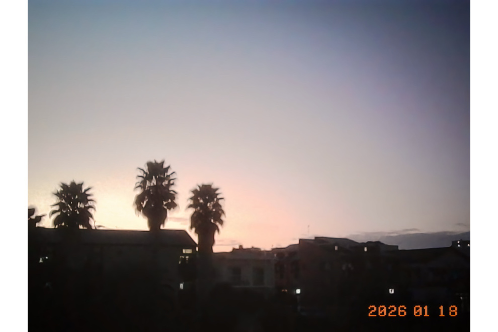 Kodak Charmeraで撮影した夕焼けのヤシの木。もう少し解像して欲しかった。