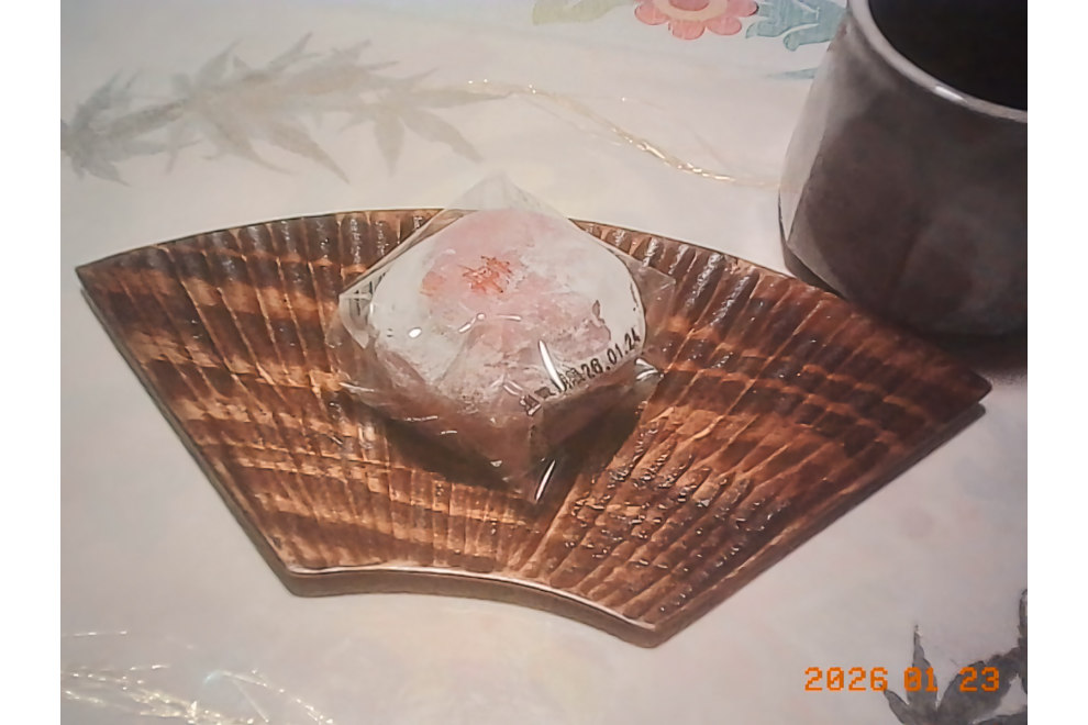 苺大福をKodak Charmeraで撮影。