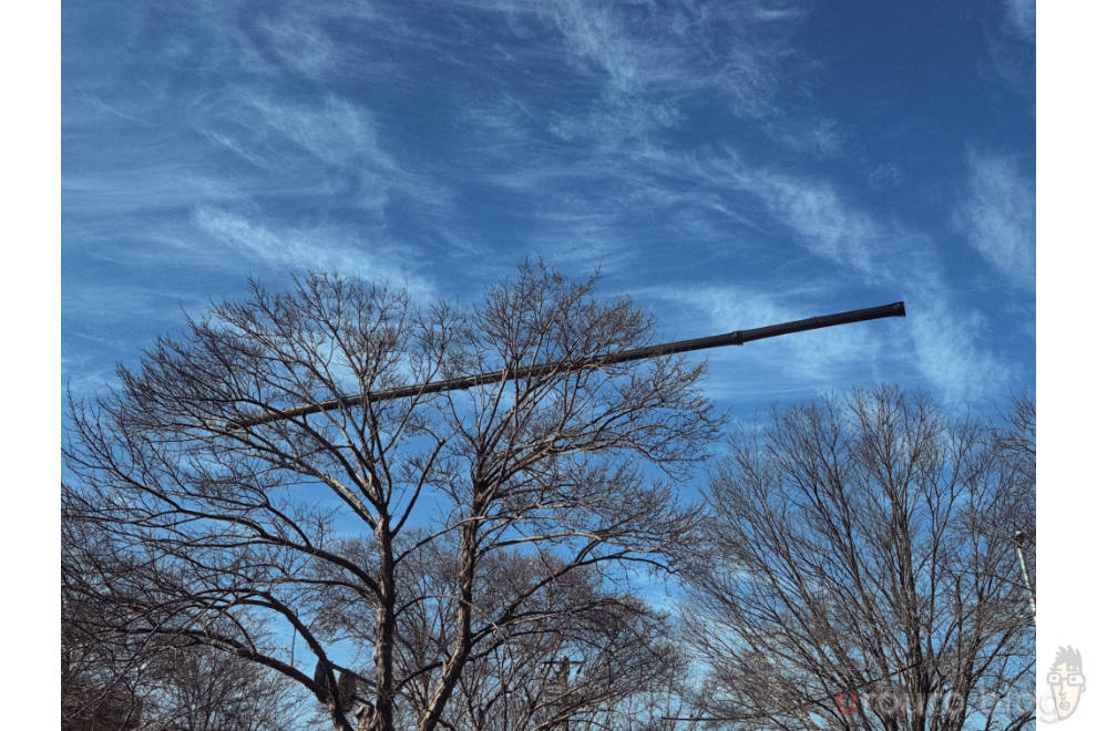 街路樹の近くにUFOのような物体が！電線のカバーをiPhone15 Proで撮影。