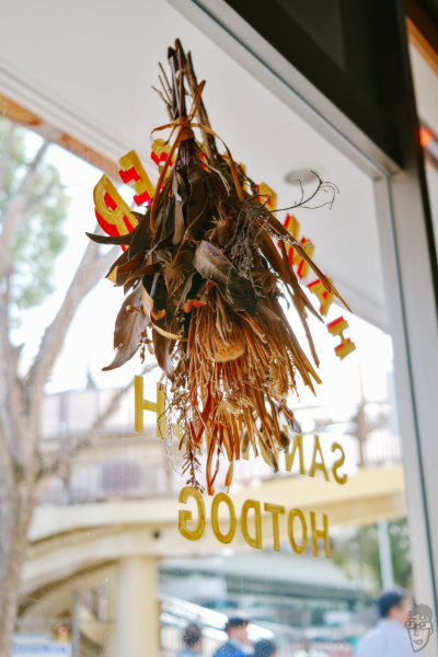 カフェに飾ってあるドライフラワーをBRIGHTIN STAR 28mm F2.8で撮影。