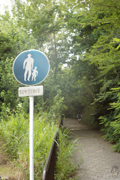 SHOTEN TRIBUTE 01 LTM50mm f/1.1を木漏れ日の逆光に向けて撮影。穏やかなフレアが確認できる。